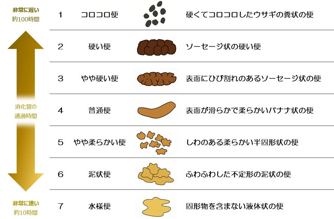 便は身体からの「お便り」ですーー理想の便に近づくための生活習慣改善のヒント|日本酒好き腸活アドバイザー Seamo