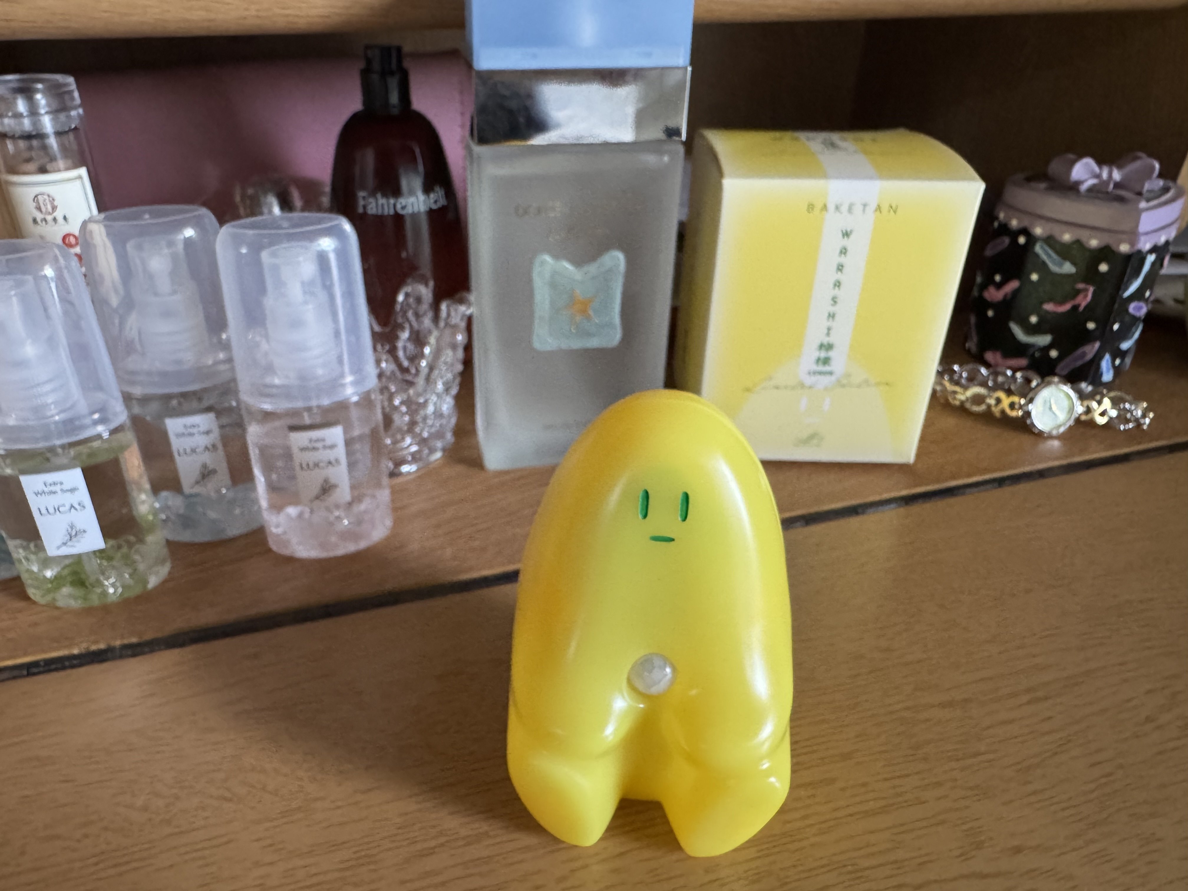 ばけたん WARASHI 1号｜bergamot3