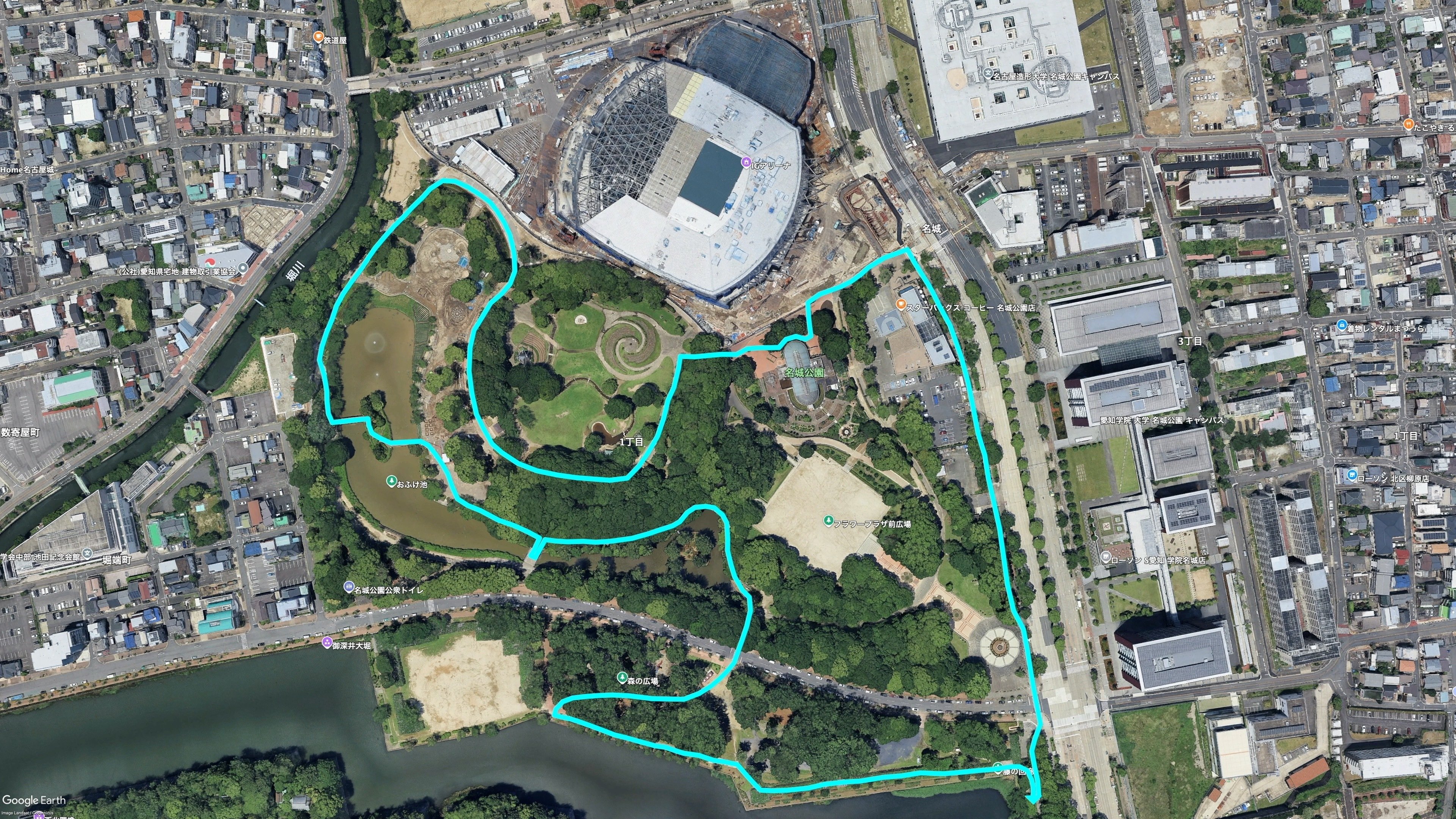 名城公園で春を満喫！半散桜の趣｜Masami Ikawa