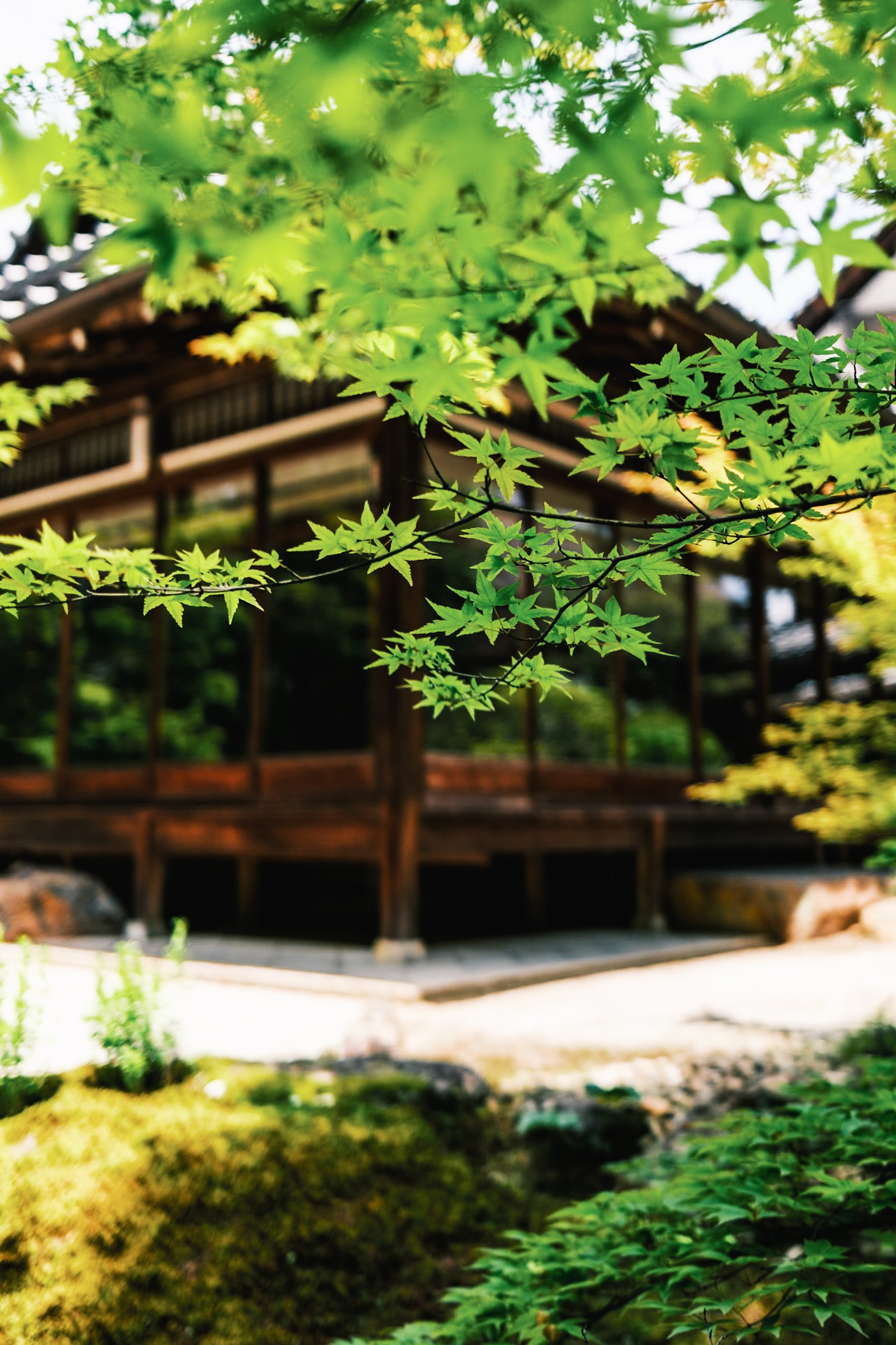写真撮影全科 X100Ⅵで撮る京都の新緑-南禅寺- | 写真15枚｜ebi_times 旅