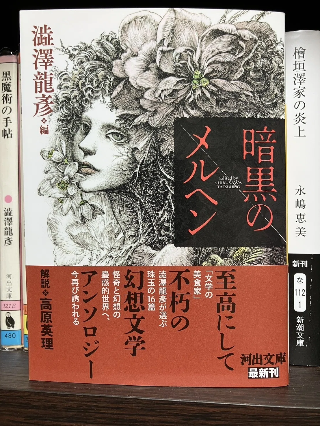 澁澤龍彦 編『暗黒のメルヘン』感想|九十九