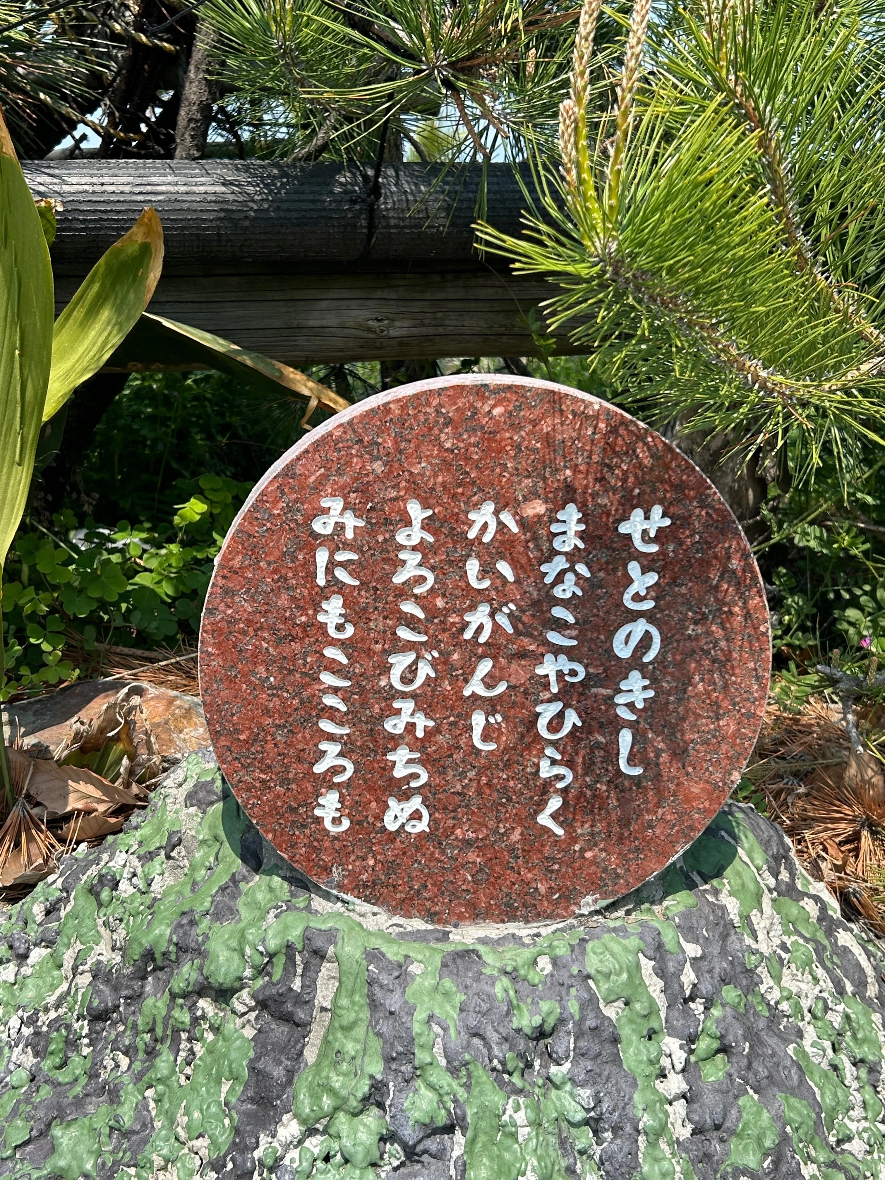 屏風ヶ浦 高見の松 絵本と古文書｜アトリエりりゅ