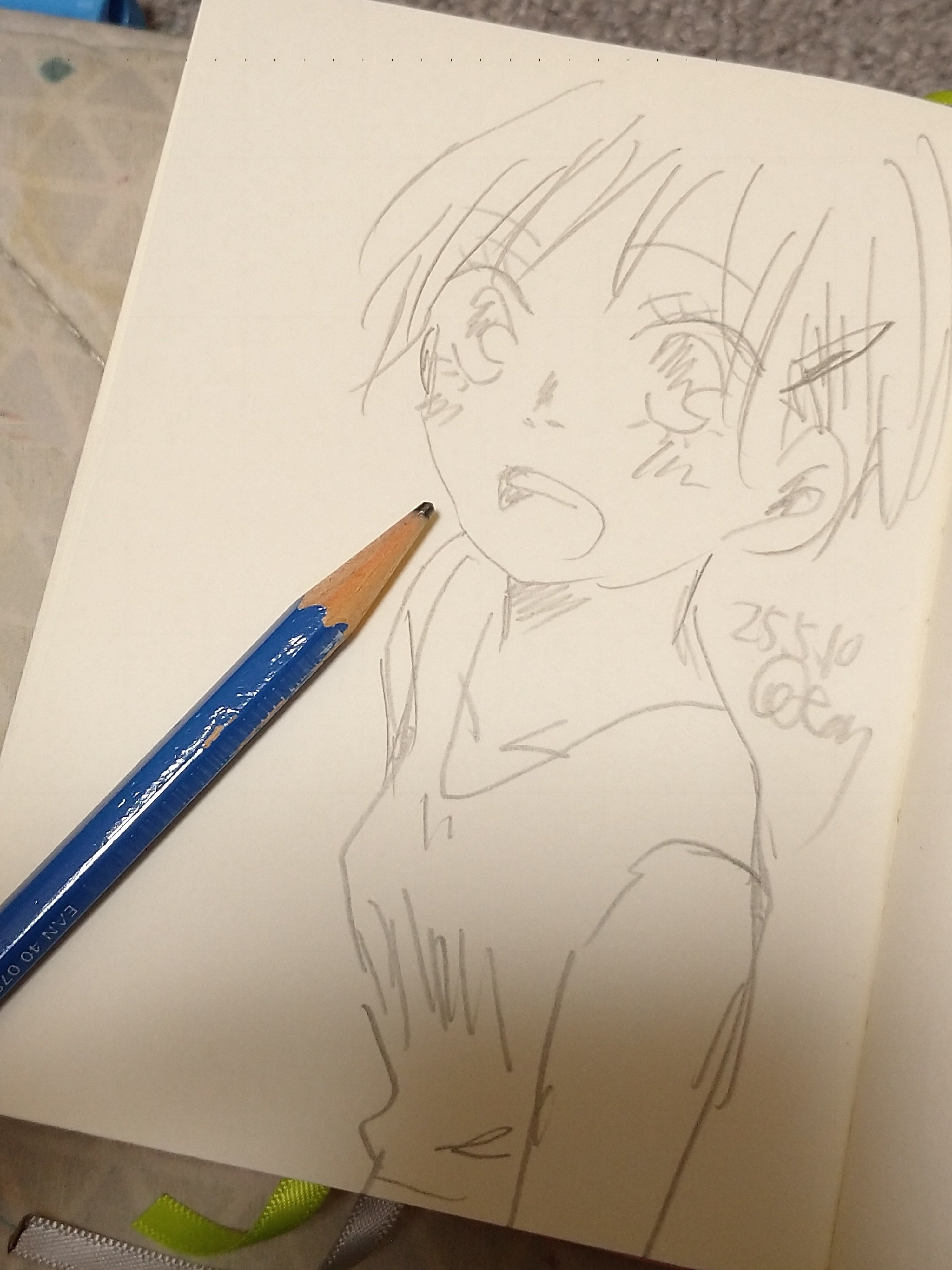 鉛筆画　リクエストページ 今日の鉛筆drawingｽﾞ✏️｜ヒカリ