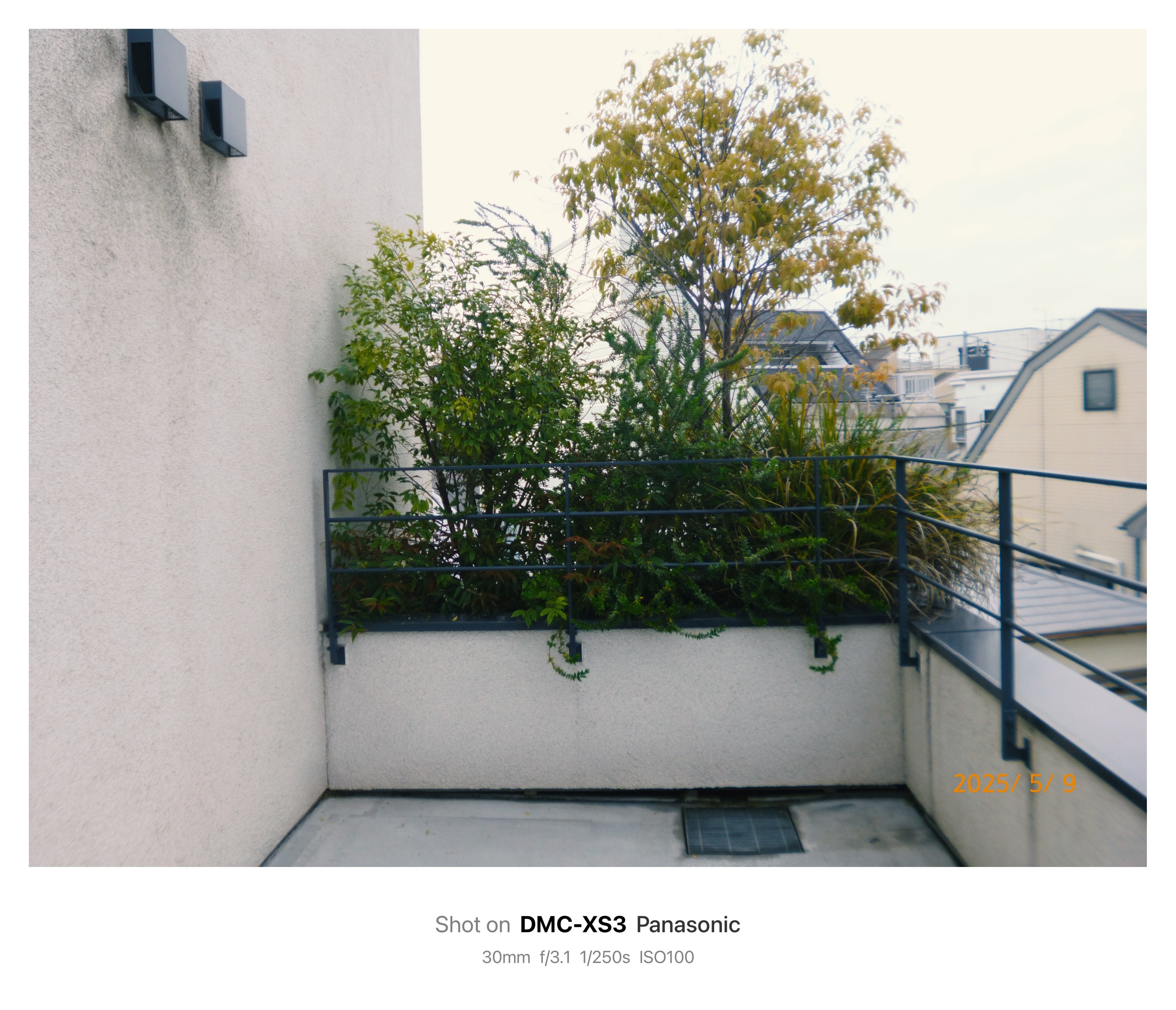 コンデジおじさん必見‼️3台まとめ売り‼️ GITZO三脚購入記：マウンテニア3型4段（GT3542）の中古を手に入れて