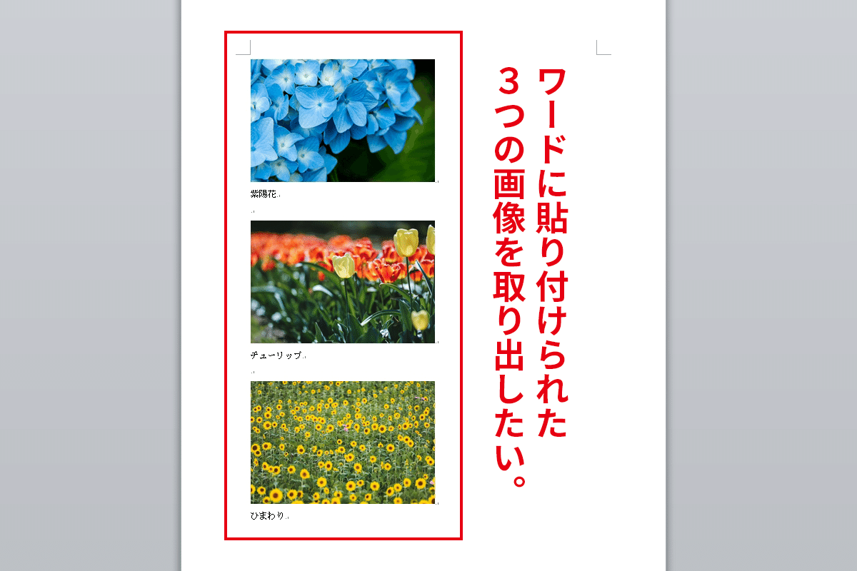 Officeソフト（Word・Excel・PowerPoint）に貼り付けた画像を高画質で