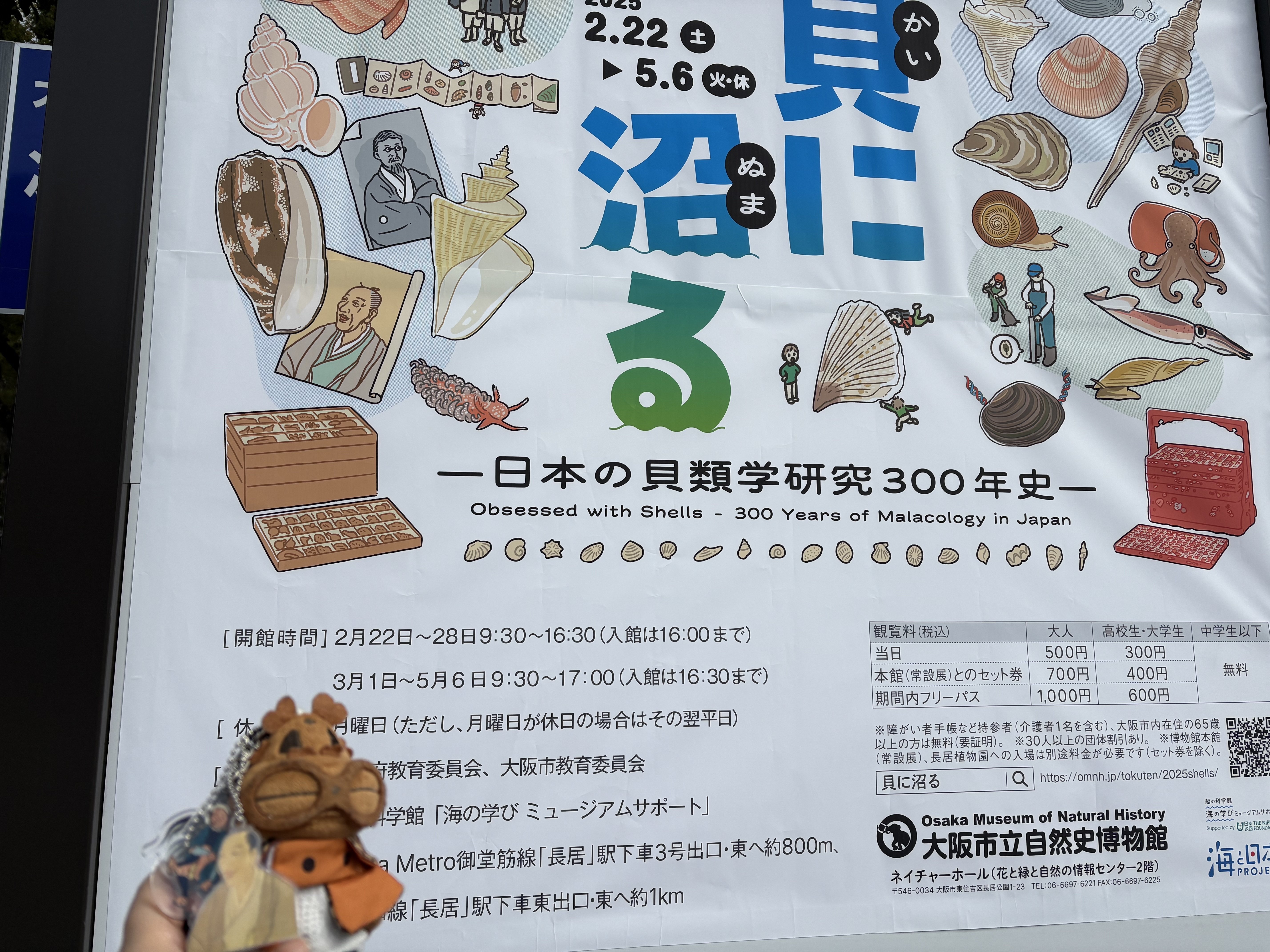貝に沼る展に行ってきた話1｜堀江の蜜柑酒