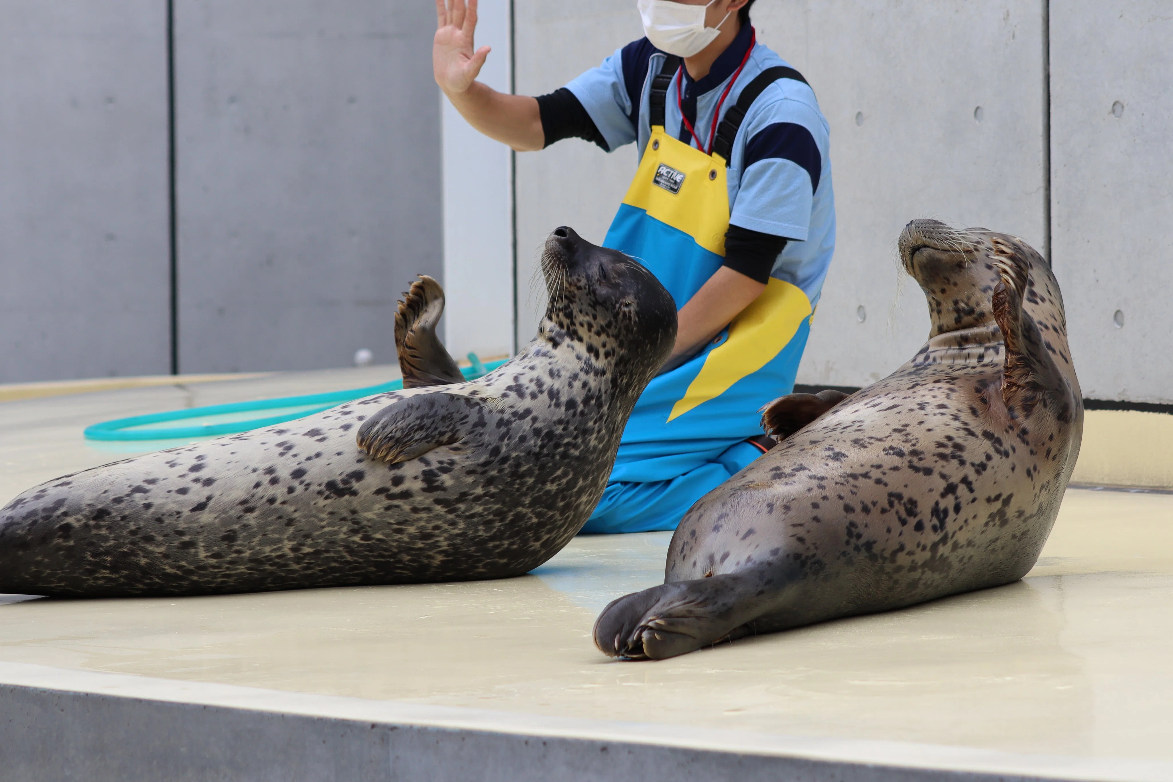 動物園水族館建築物紹介】その15 島根県立しまね海洋館アクアス