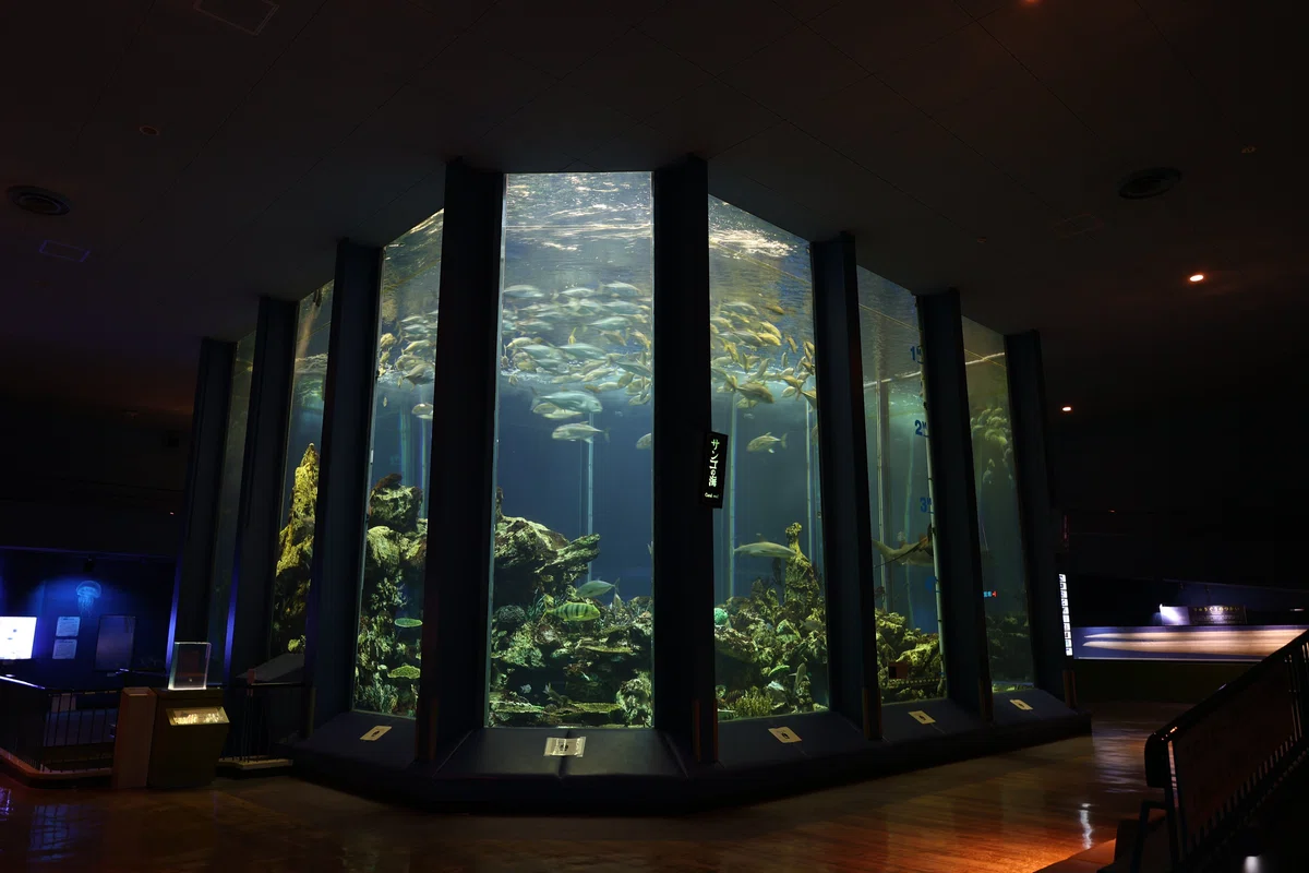動物園水族館建築物紹介】その18 東海大学海洋科学博物館 海洋水槽｜塩 