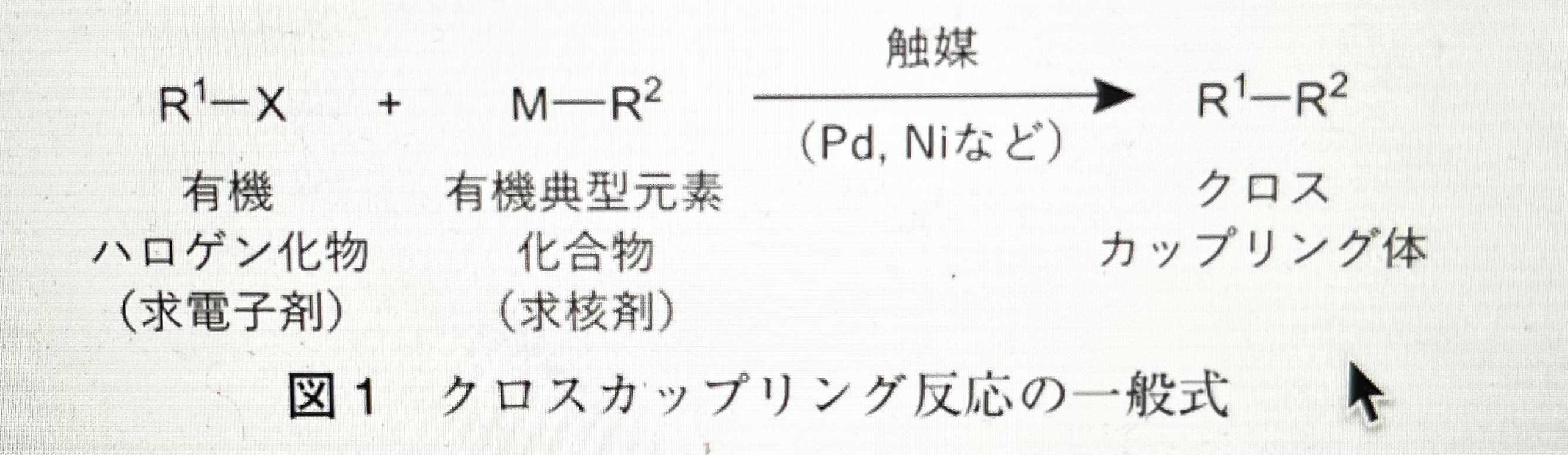ハートウィグ 有機遷移金属化学 上 41IfPlmm+oL._UF1000,1000_QL80_.jpg