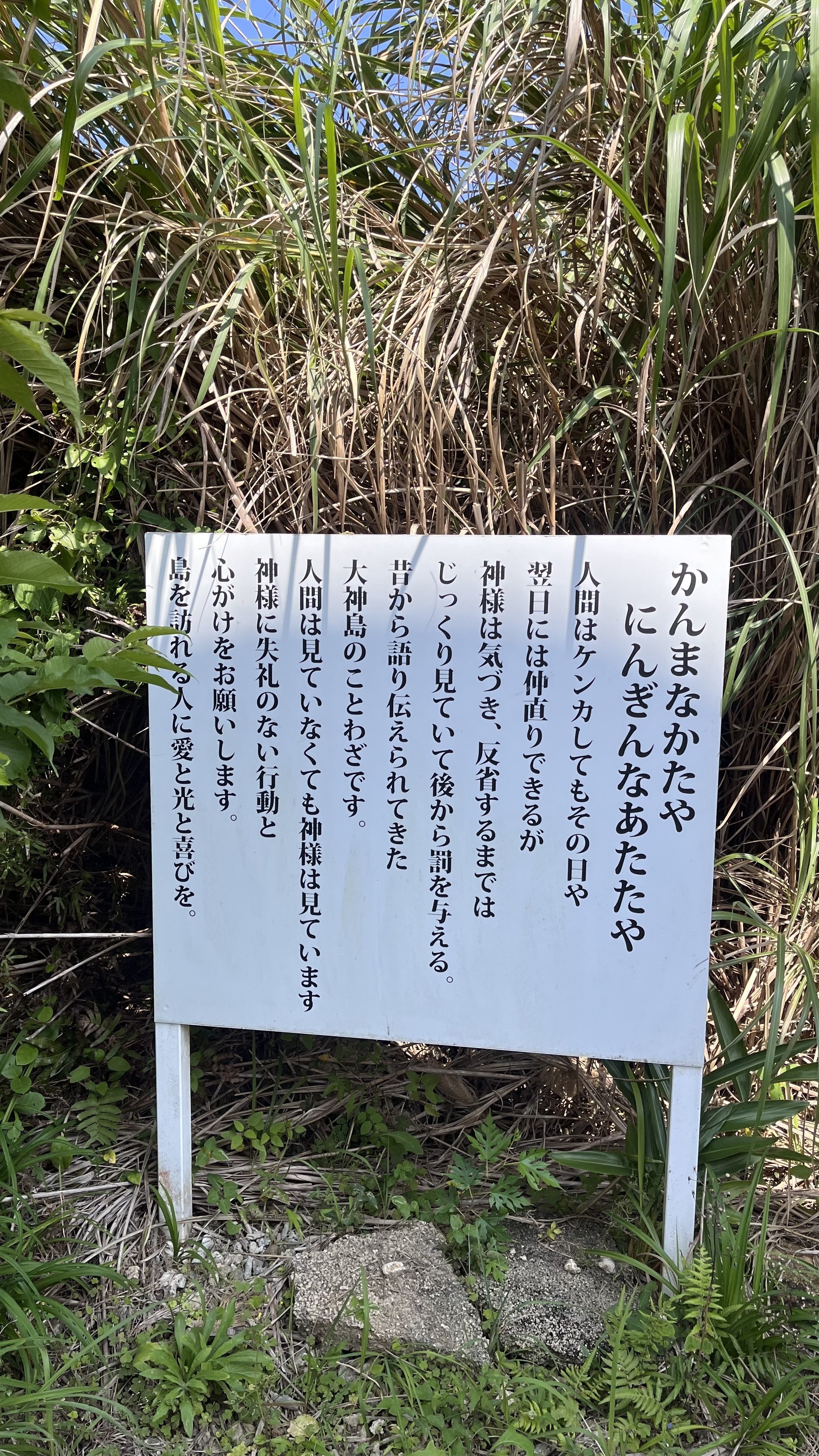 神の宿る島 「大神島」に呼ばれた日｜SHIHO