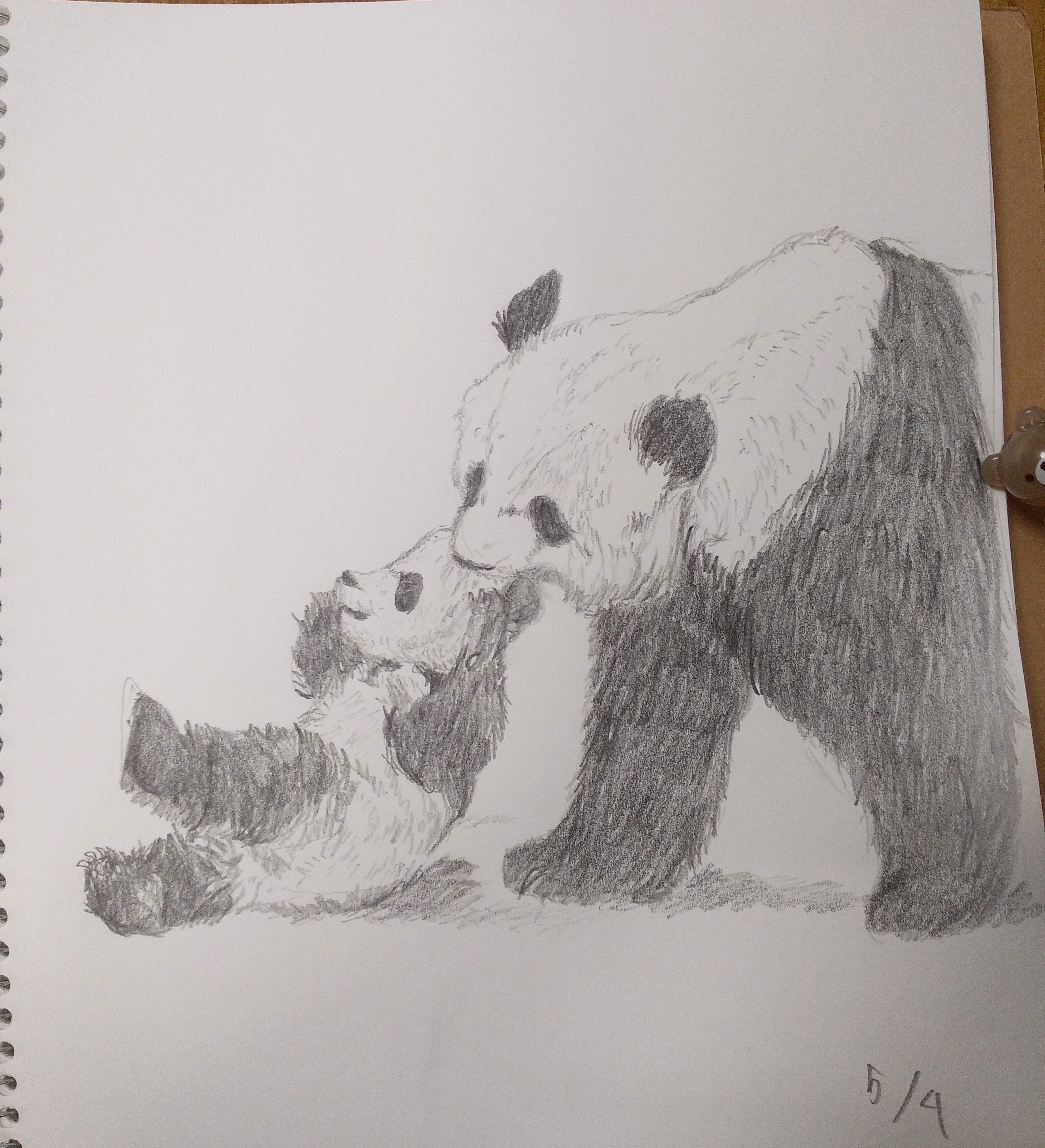 パンダデッサン練習第2週 5/4-5-10｜こひろ@こぎん刺しのテディベア