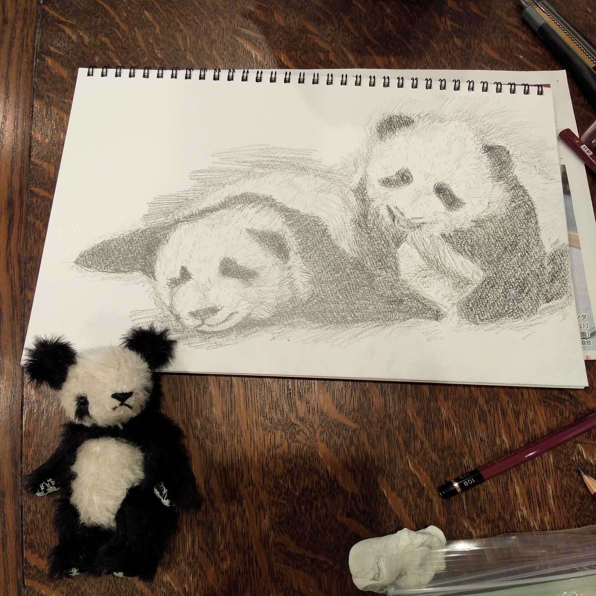 パンダデッサン練習第2週 5/4-5-10｜こひろ@こぎん刺しのテディベア作家kogin＊bear style, image size:1772x2000