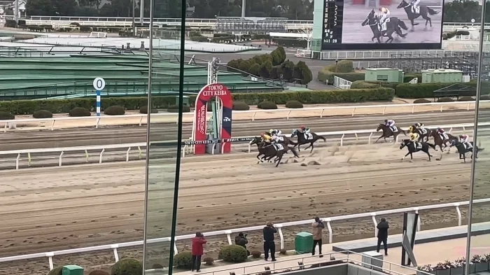 大井競馬場指定席