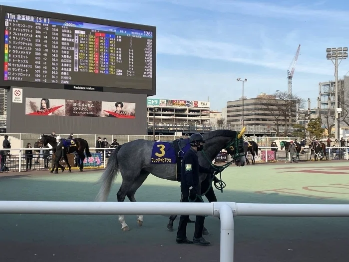 大井競馬場パドック