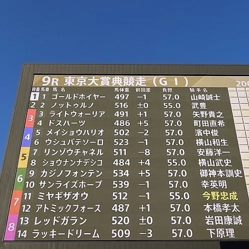 大井競馬場パドックビジョン