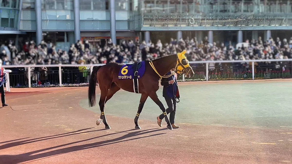 大井競馬場パドックの様子２