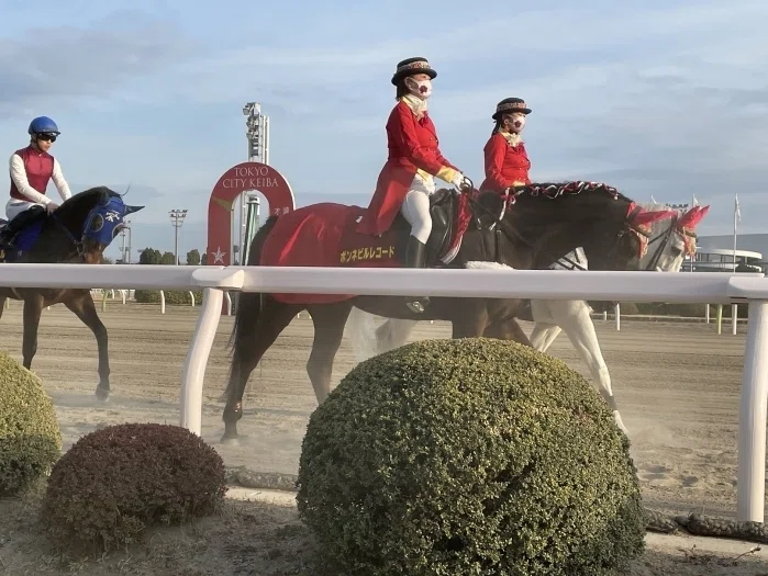 大井競馬場本馬場入場