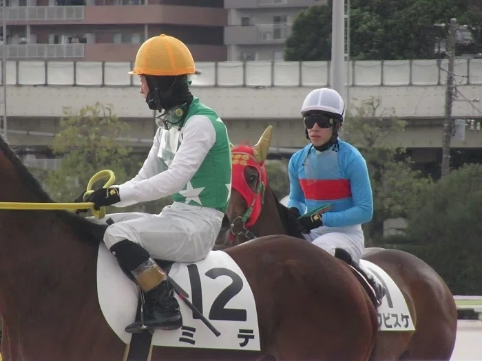 大井競馬場本馬場入場の様子１