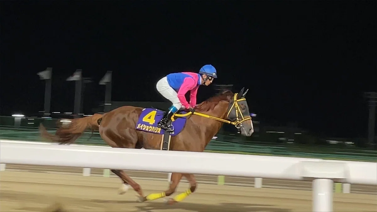 大井競馬場本馬場入場の様子３