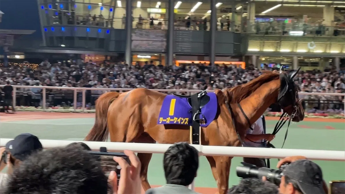 大井競馬場パドックの様子３