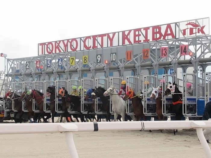 大井競馬場レースの様子１
