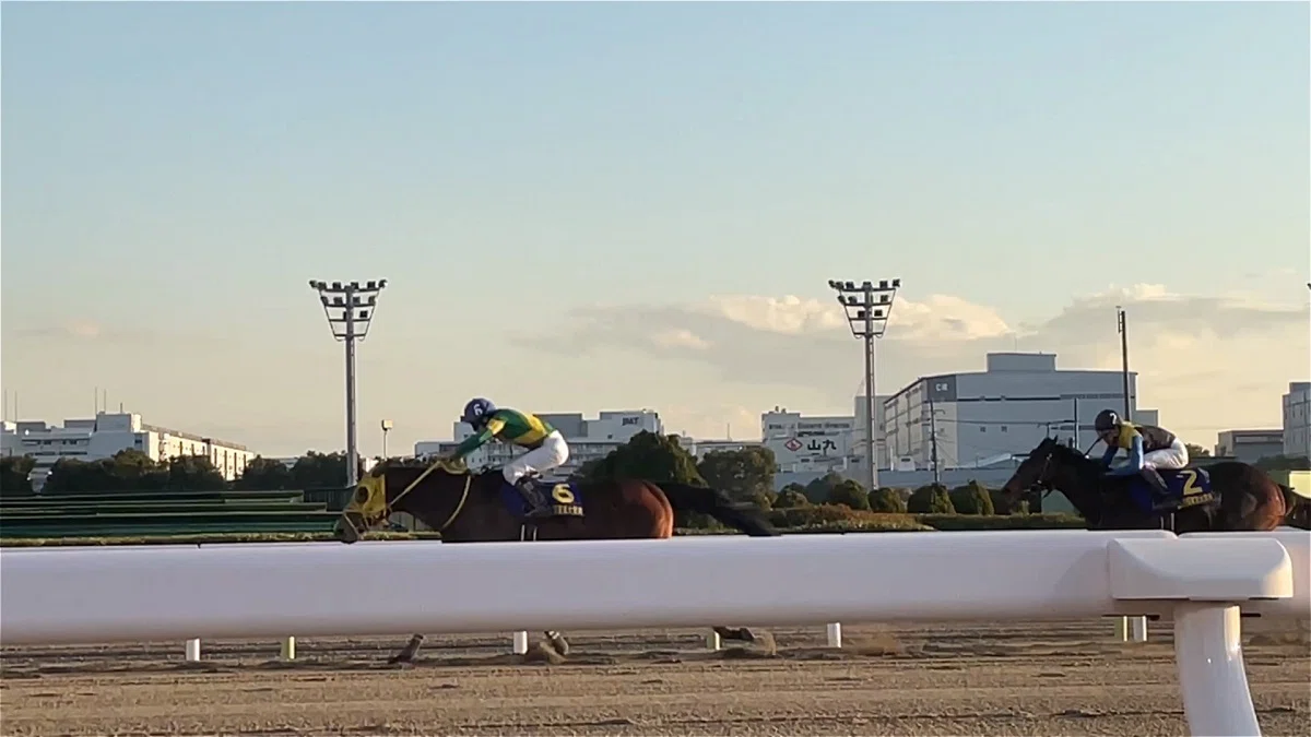 大井競馬場レースの様子４