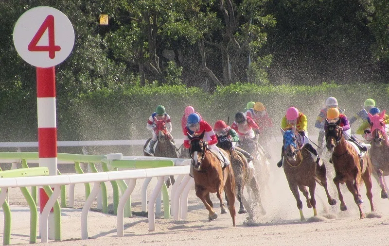 大井競馬場レースの様子２