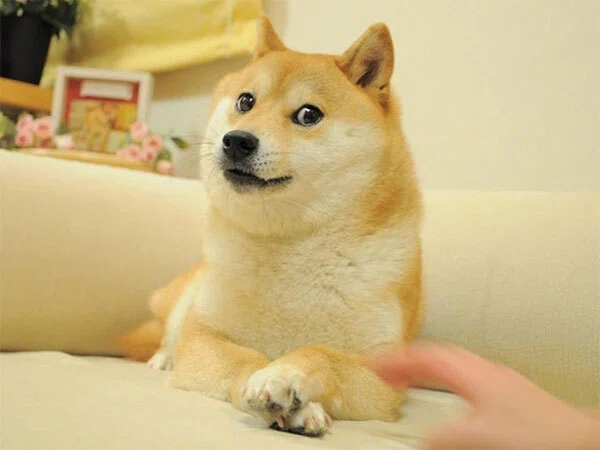 A humanities major with no programming experience tried making PC ...