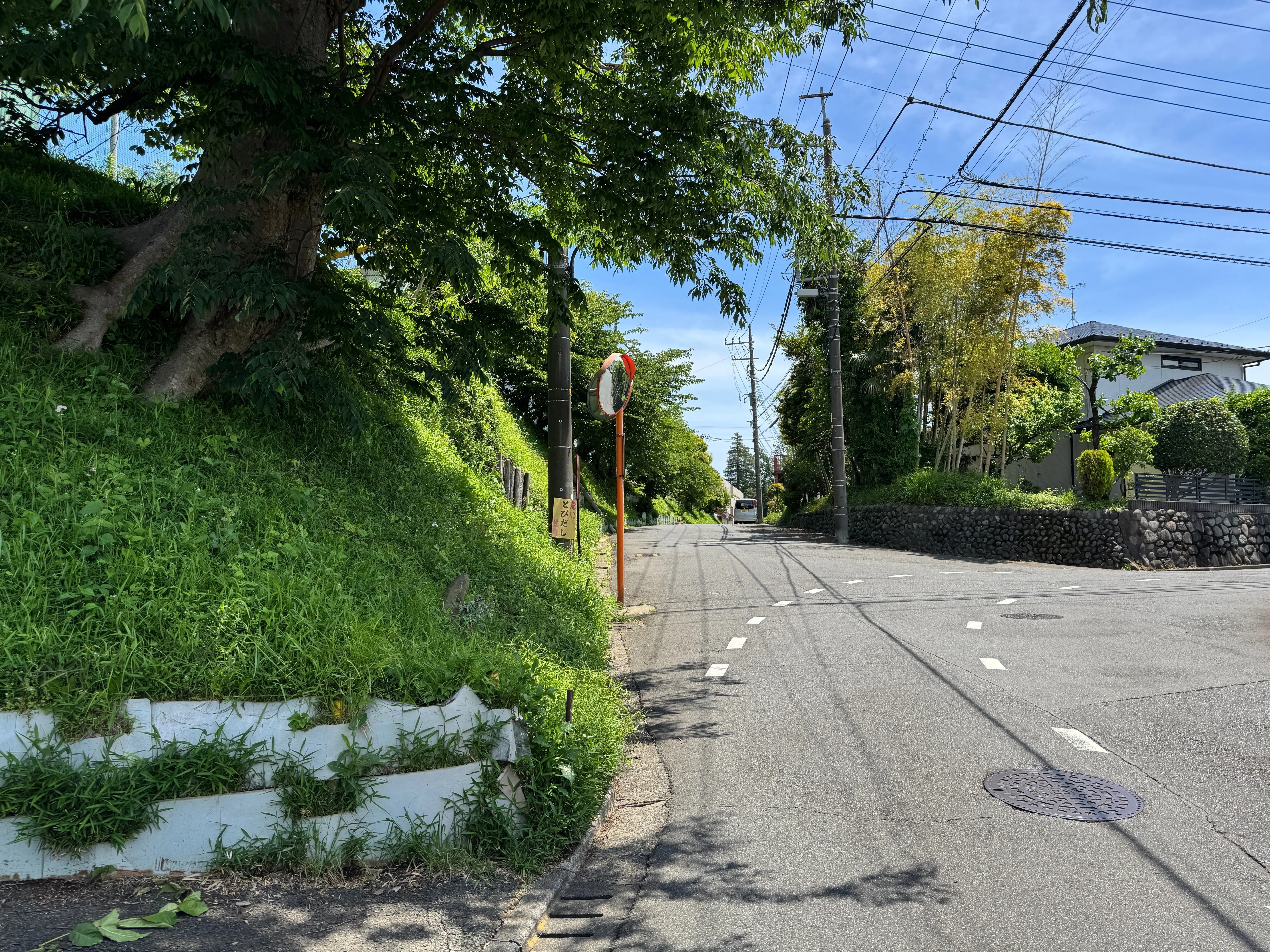 鎌倉街道 山ノ道を走る 高尾～町田（ゴール）｜dash2