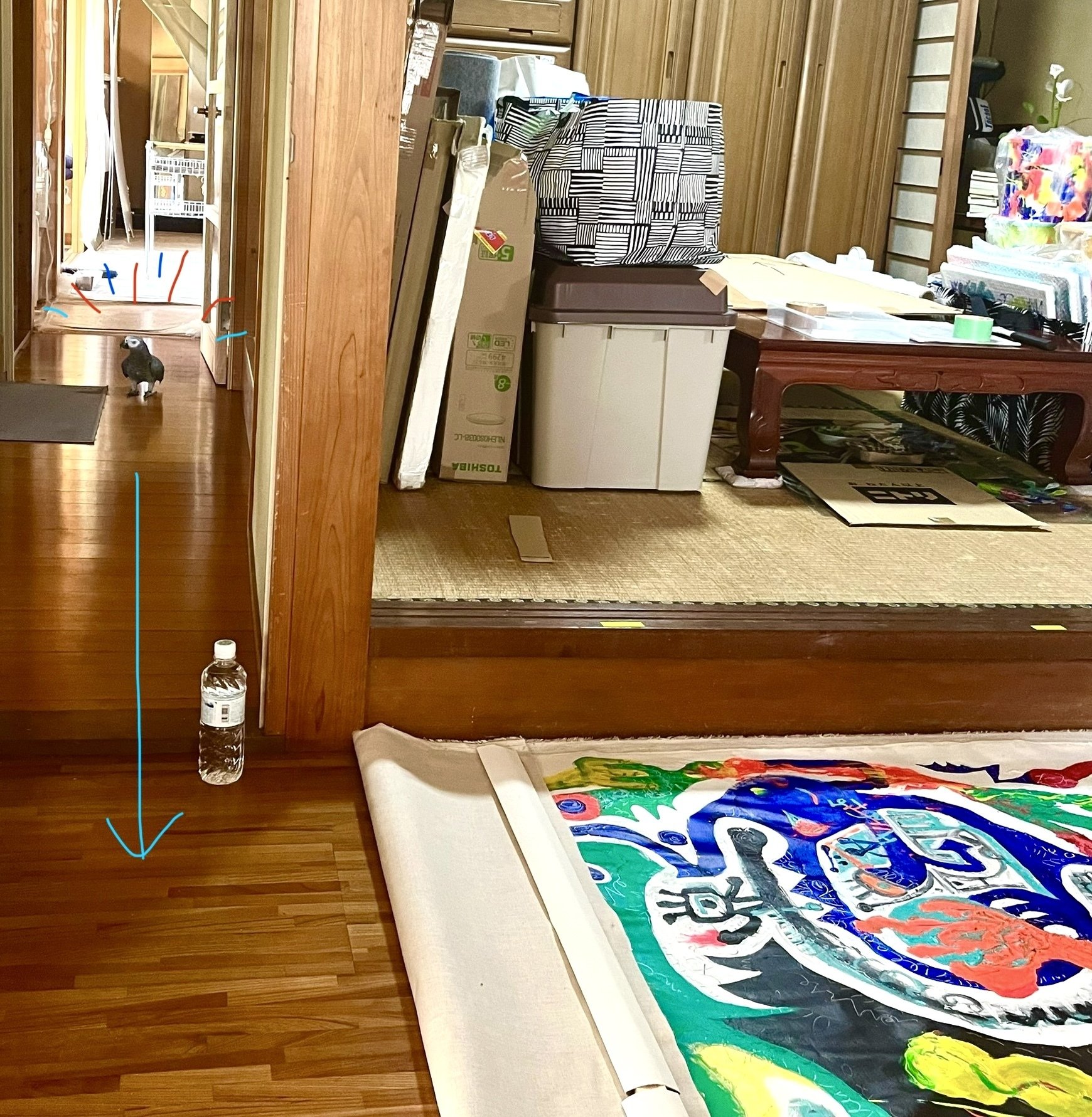 ももきみどり展2025／150｜Momo Quimidori