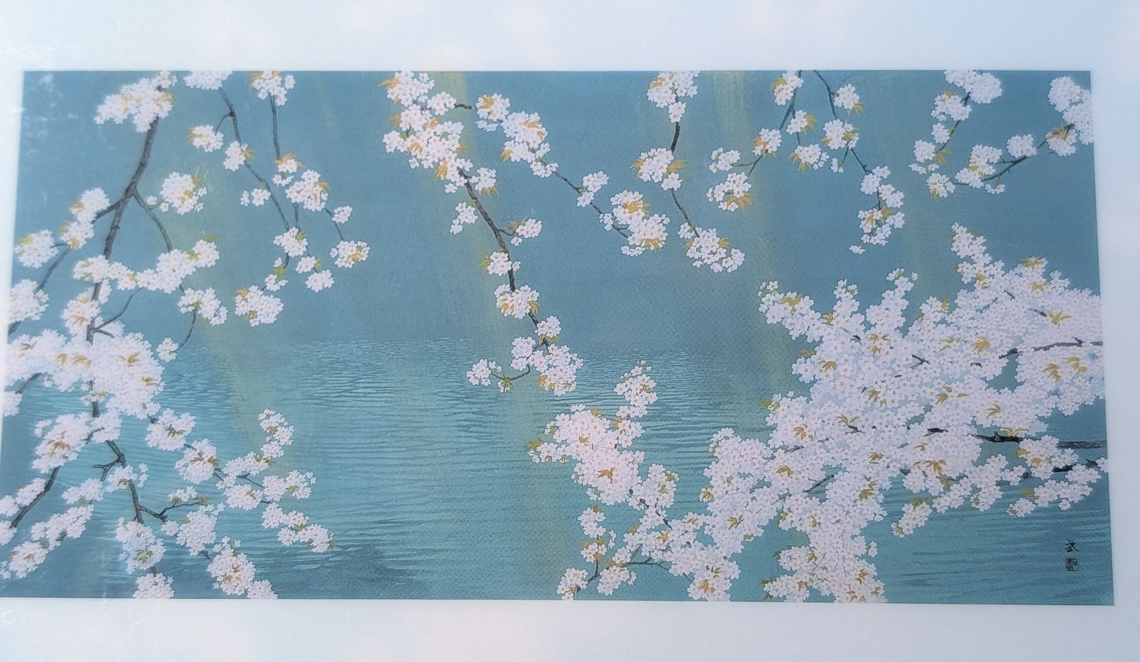 山種美術館 春のさくらまつり【桜さくらSAKURA 2025】｜Nyori