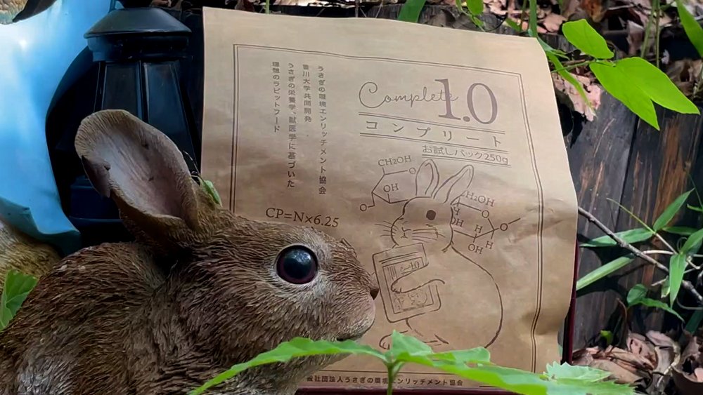 Complete 1.0 コンプリート ウサギ用フード　4袋 FAIRY RABBIT うさぎ専門ホテル&サロン / うさぎの総合栄養食