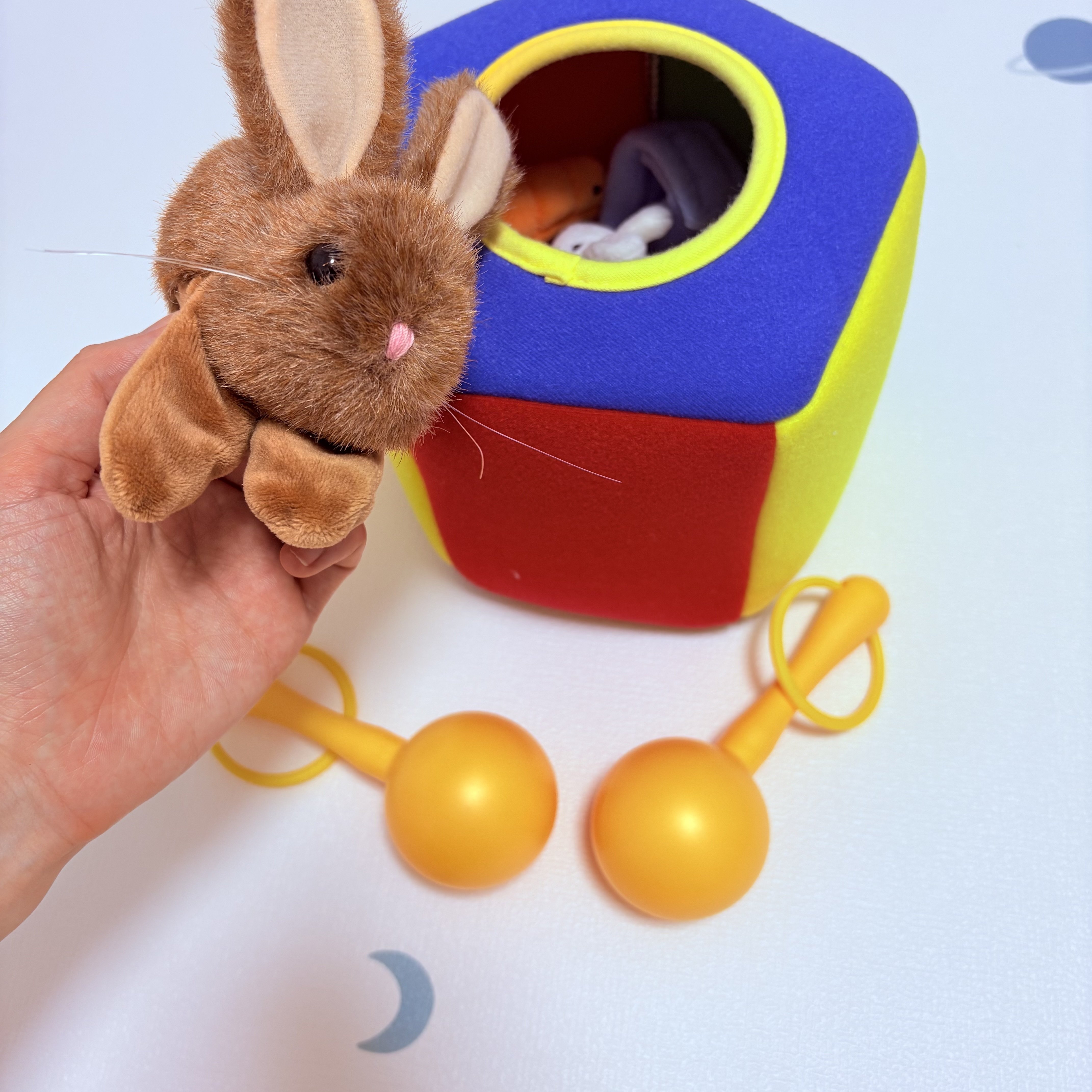 ママ】DWEが届いて1ヶ月！ママの奮闘と感想レポ📝｜わが家のちび姫育成