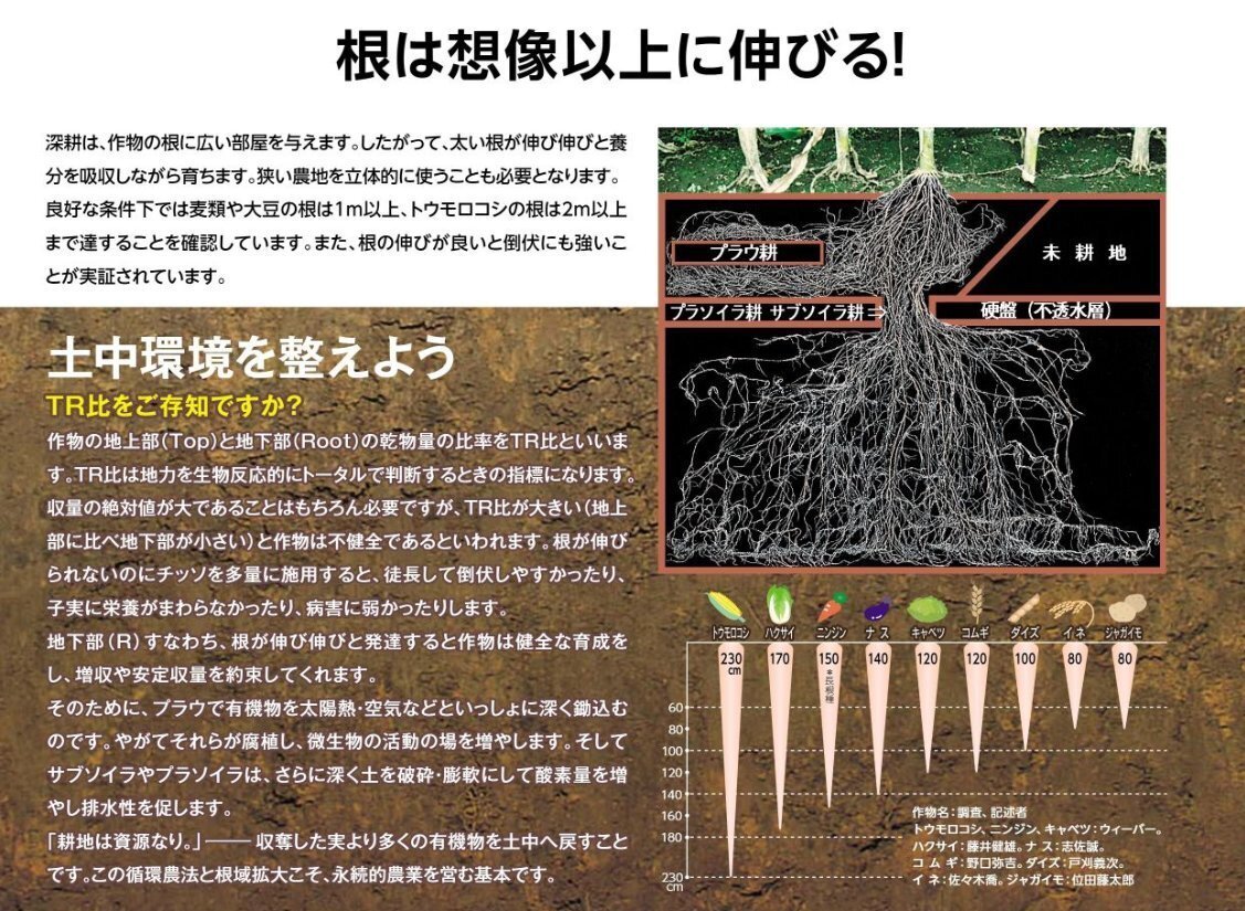 農業機械化による収量増加の事実｜浅川 芳裕