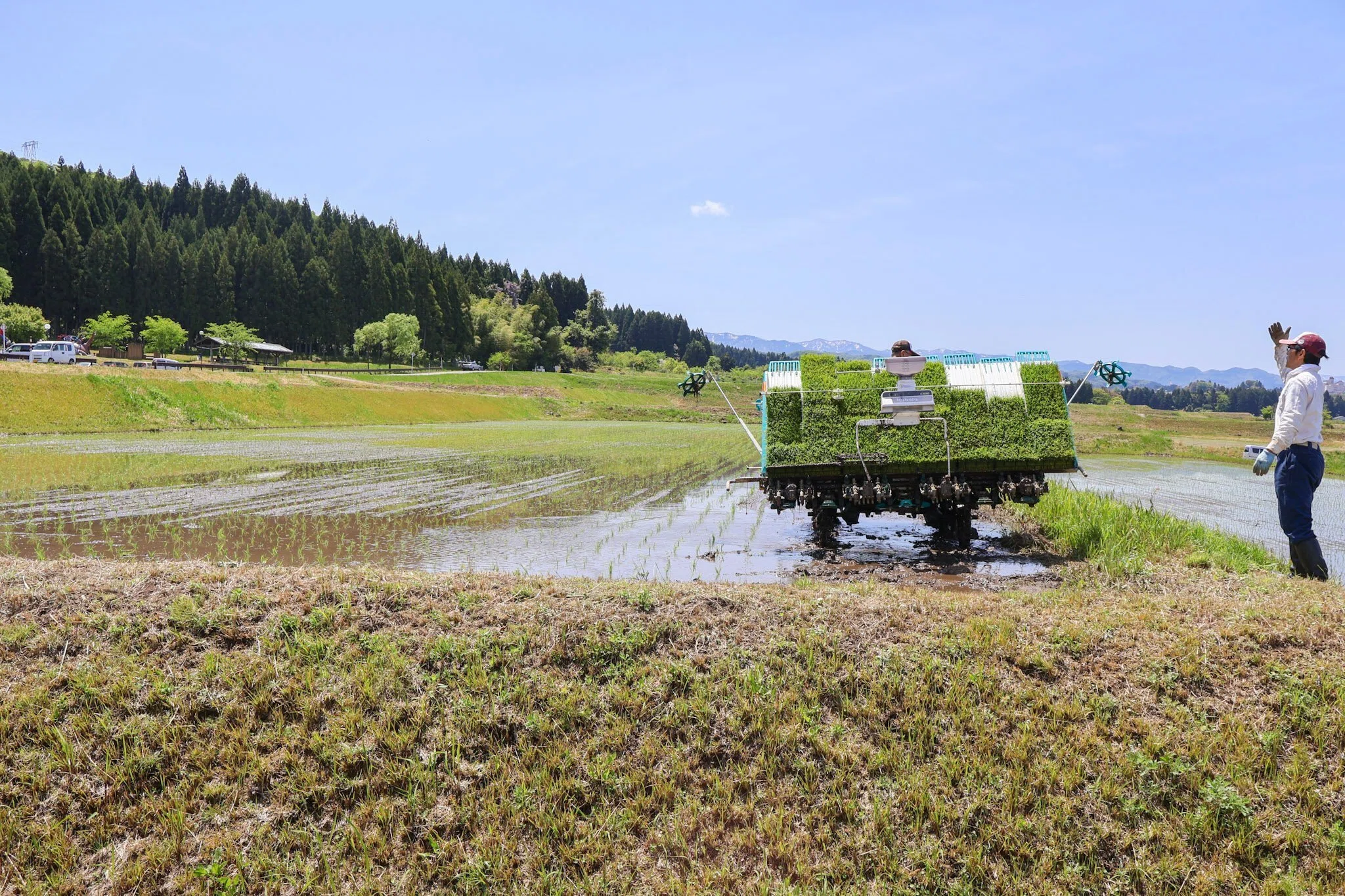 立山町東谷地域の田植え食堂に行ってみた！] ｜なかやまさん情報局（by