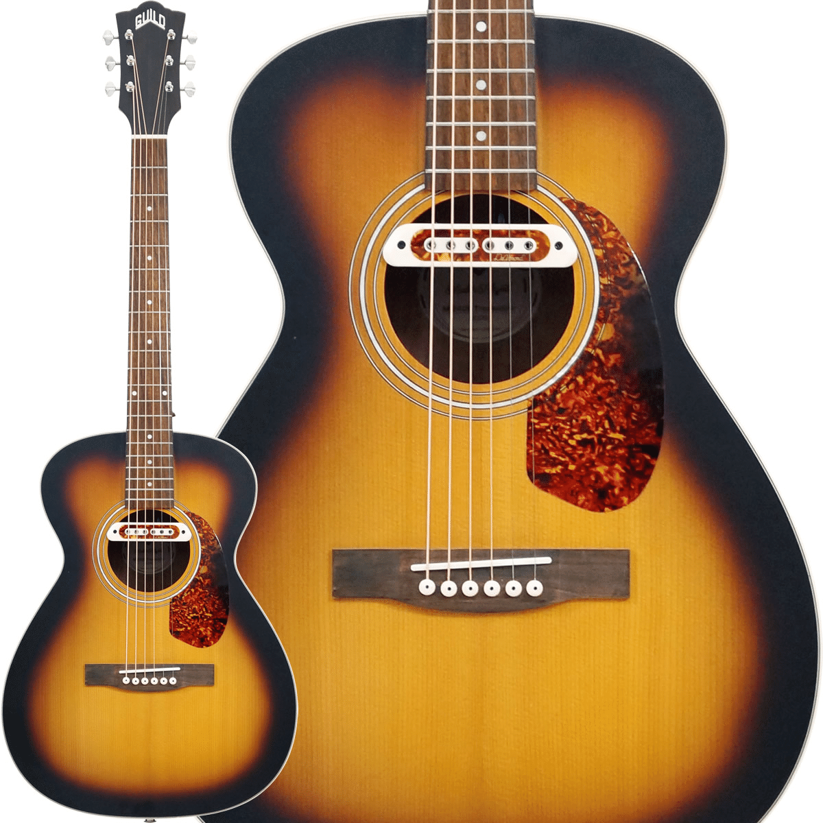 特選中古品！ギルドによる個性派エレアコ「M-240E Troubadour」が中古