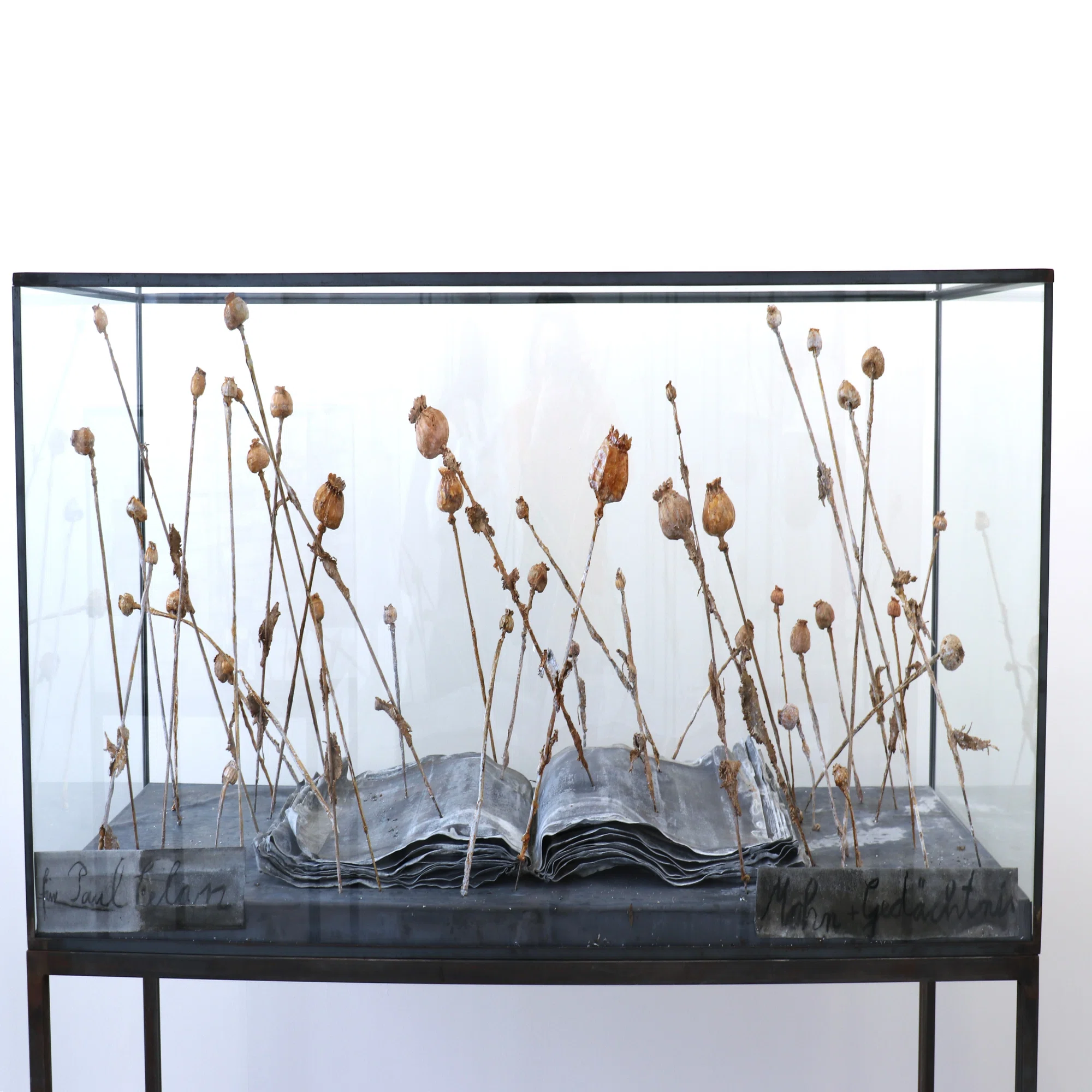 作品空間の謎解き 詩的,神話的な構造-Anselm Kiefer: Two Paintings 