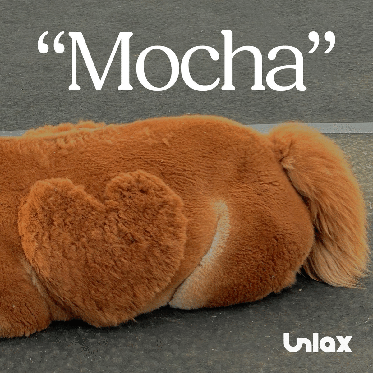 mocha　まとめ 4th Demo ‶Mocha” 引くほどガチ考察｜Utopia