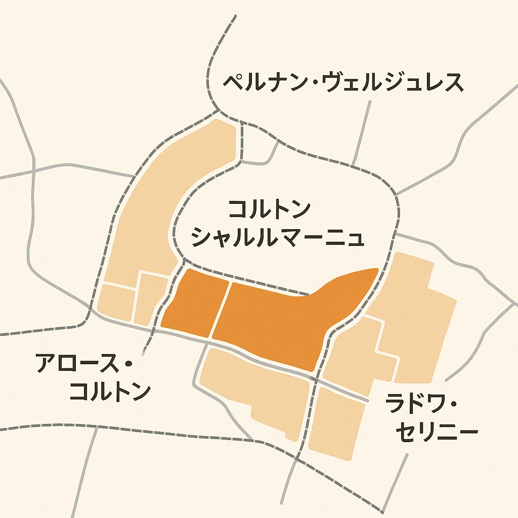 ブルゴーニュの特級畑「コルトン」「コルトン・シャルルマーニュ