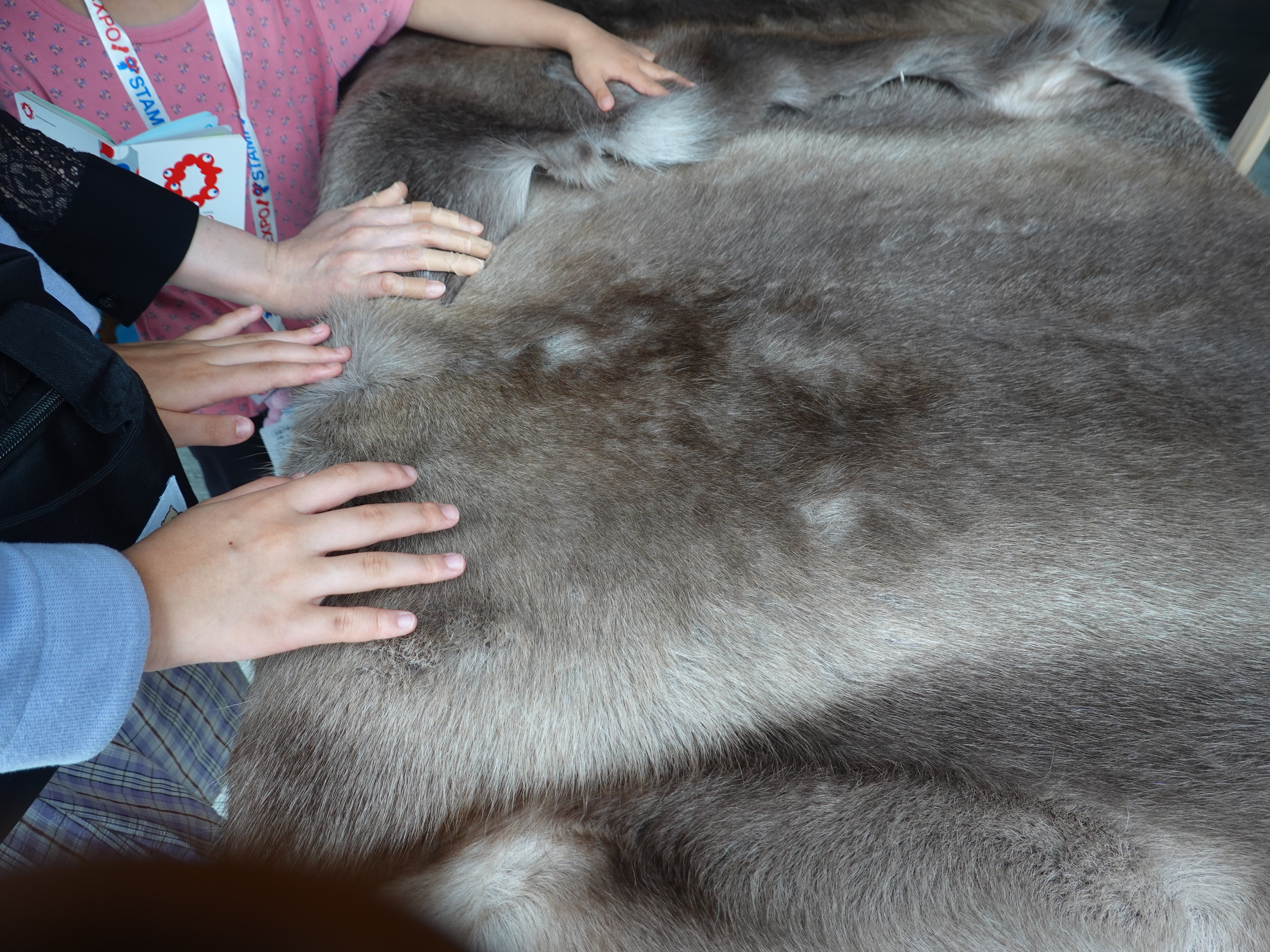 大阪・関西万博に行ってきました(2回目だよ！/パビリオン編3/北欧館