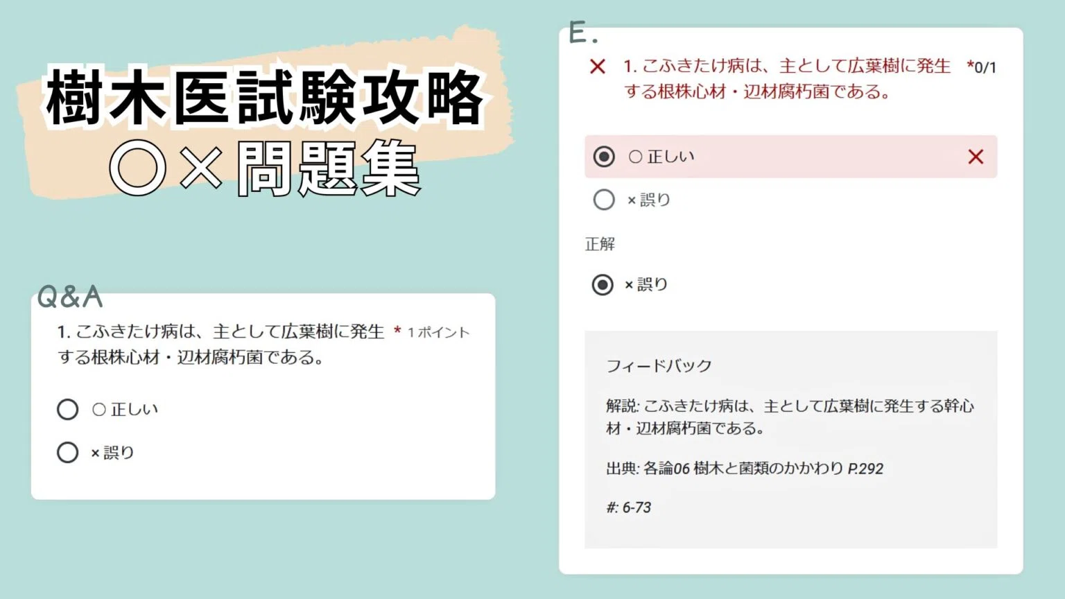 樹木医試験攻略〇×問題集】のご案内｜じゅもくやん｜樹木医・緑化