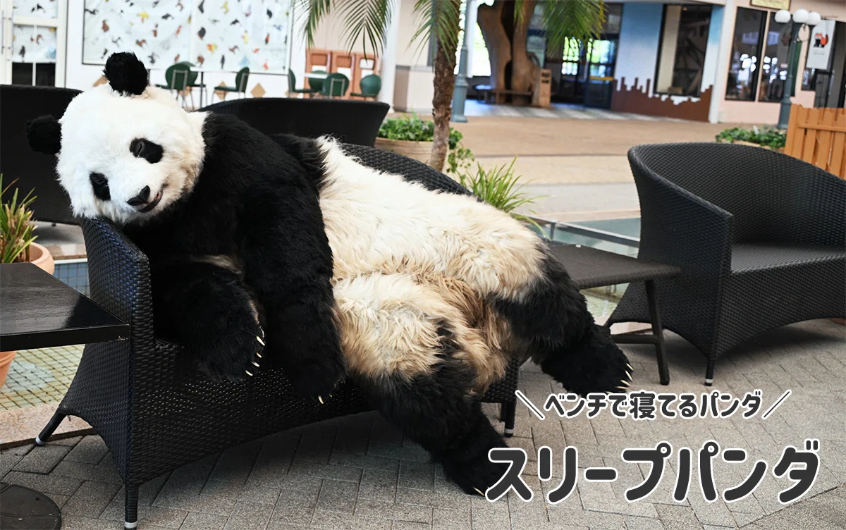 パンダ The Planning of 'New Species Panda World' and the Charm of