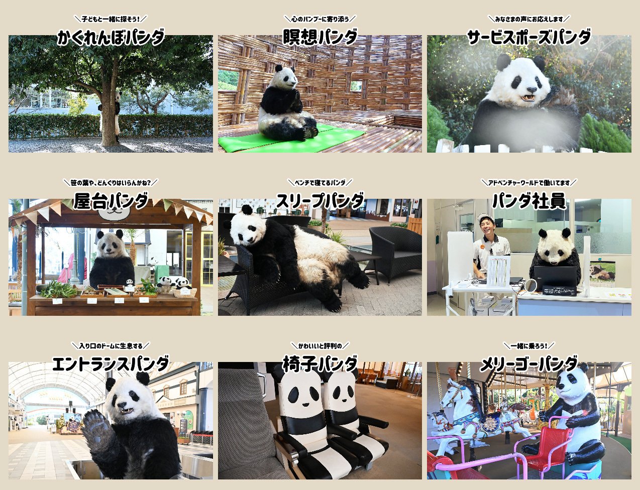 新種パンダワールドの企画話と、アドベンチャーワールドの魅力｜佐藤