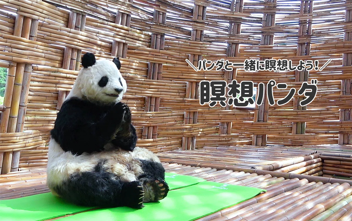 The Planning of 'New Species Panda World' and the Charm of