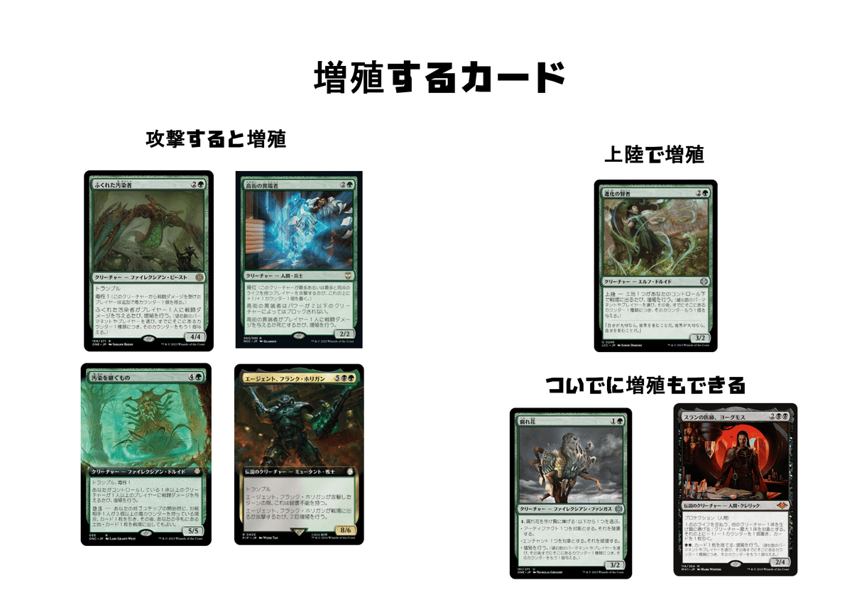 MTG 統率者デッキ 獅子のカルス EDH】獅子のカルス【デッキ紹介】|ジャワ