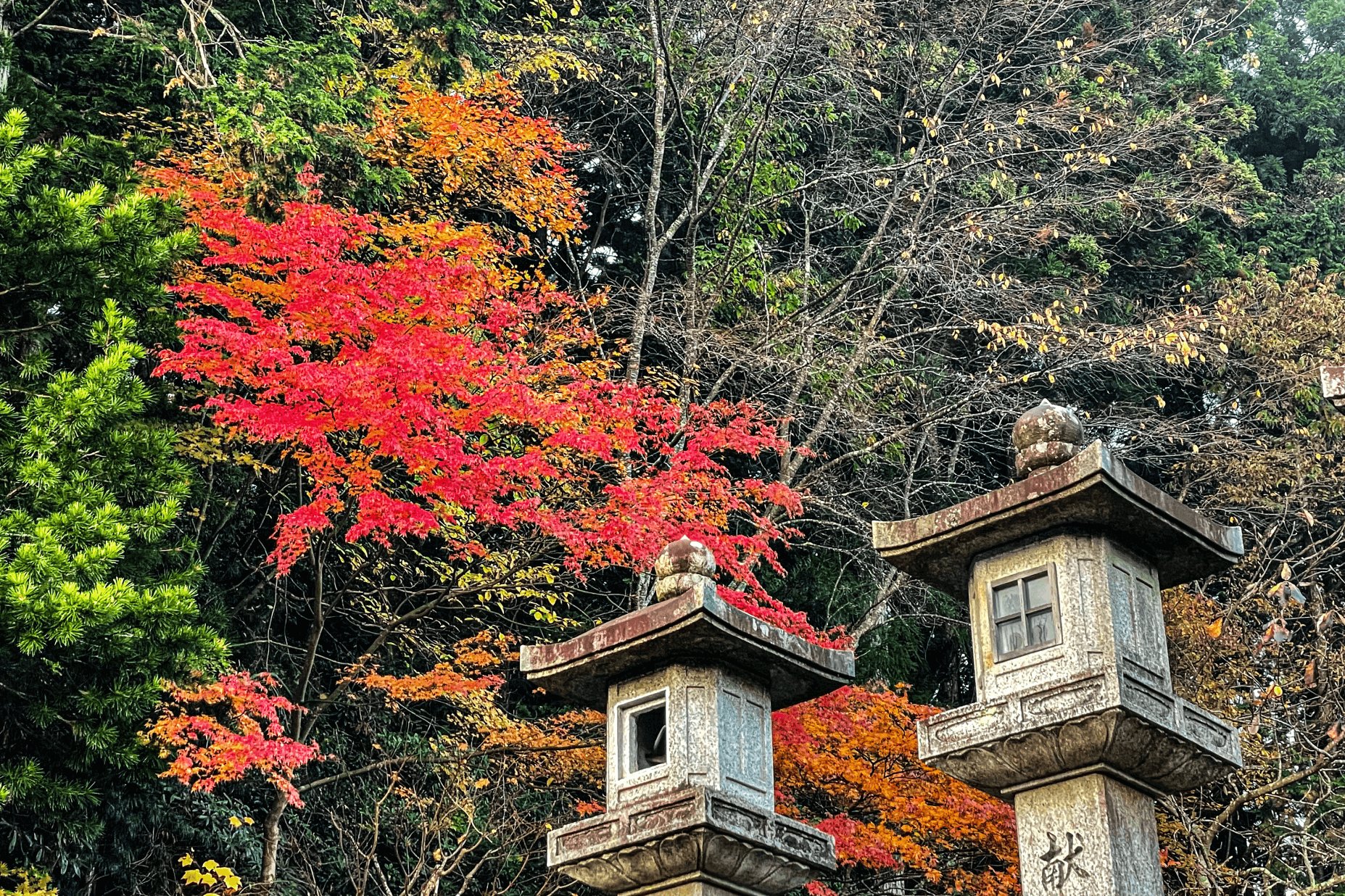ANA V-TRIP 高野山公開＆「紀伊山地の霊場と参詣道」世界遺産