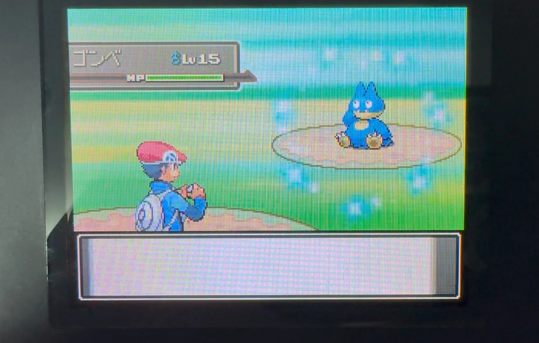 ポケモンPt ゴンベの色違い乱数とミツの木の詳細な仕様と計算の解説｜ひな