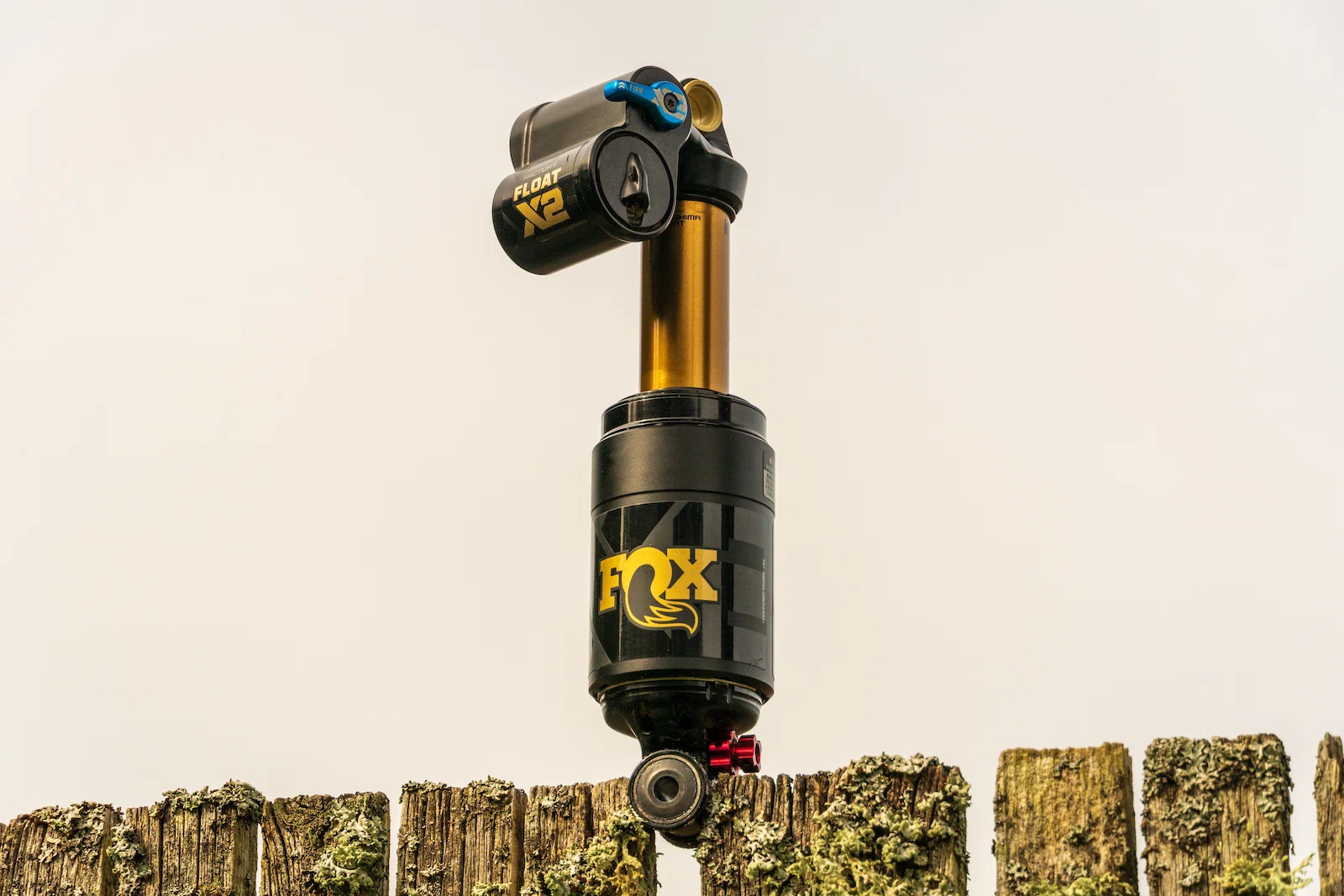 FOX DHX2 / FLOAT X2 2026｜マタタビ.B.日和