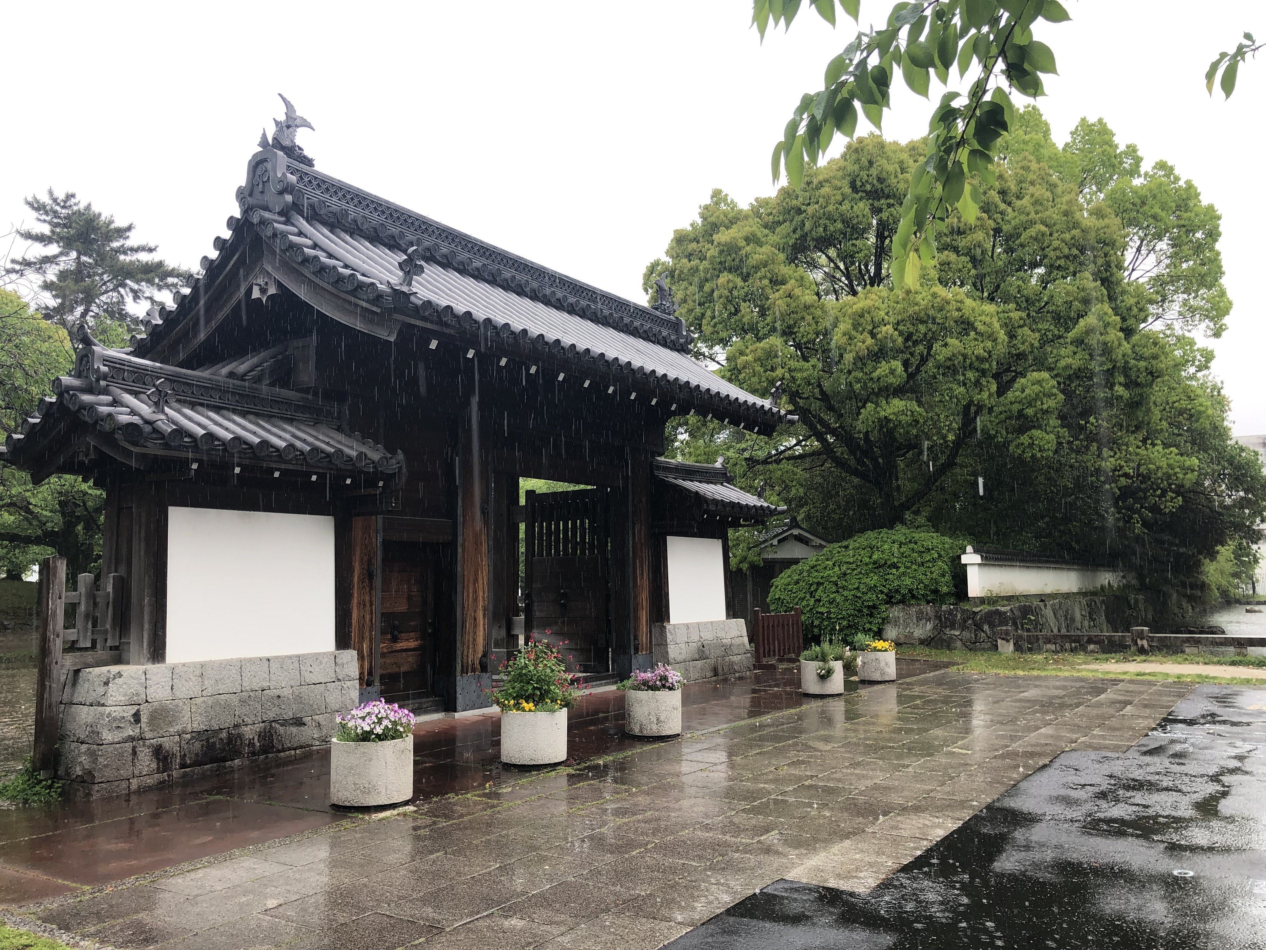 膳所城移築門巡りに行ってきました。中編｜ぐこ