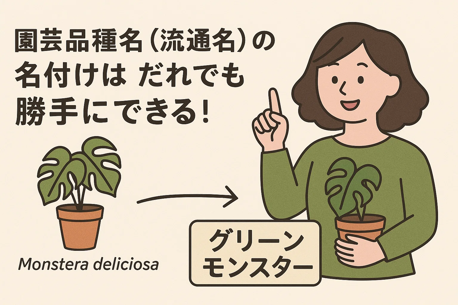 被害者1000名以上！？】初心者がメルカリでレアな斑入りモンステラを 